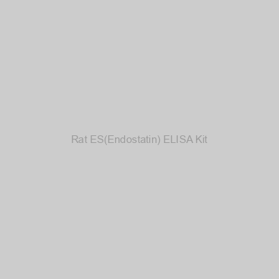FN Test - Rat ES(Endostatin) ELISA Kit